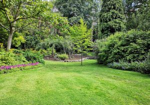 Optimiser l'expérience du jardin à Crevecoeur-le-Petit